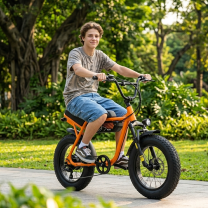 1500W Fat-Tire Electric Bike – All-Terrain, Removable Battery