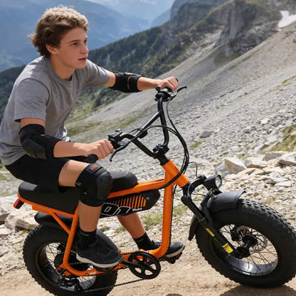 1500W Fat-Tire Electric Bike – All-Terrain, Removable Battery